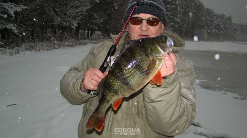 wędkarstwo podlodowe